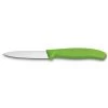 Victorinox Swiss Classic Schilmes– RVS Groen